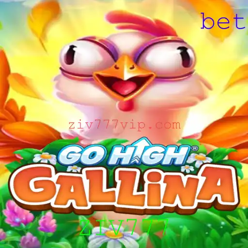 GoHighGallina: Descubra o Mundo Empolgante deste Jogo Inovador