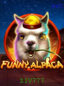 Descubra o Mundo Animado de 'FunnyAlpaca'